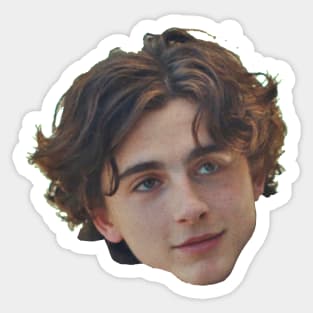 Thimotée Chalamet Sticker